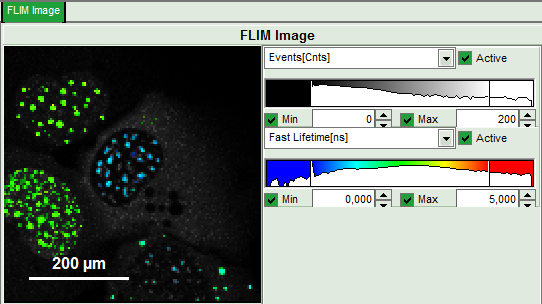 flim-fret-calculation_for_multi-exponential_donors_image_31.png